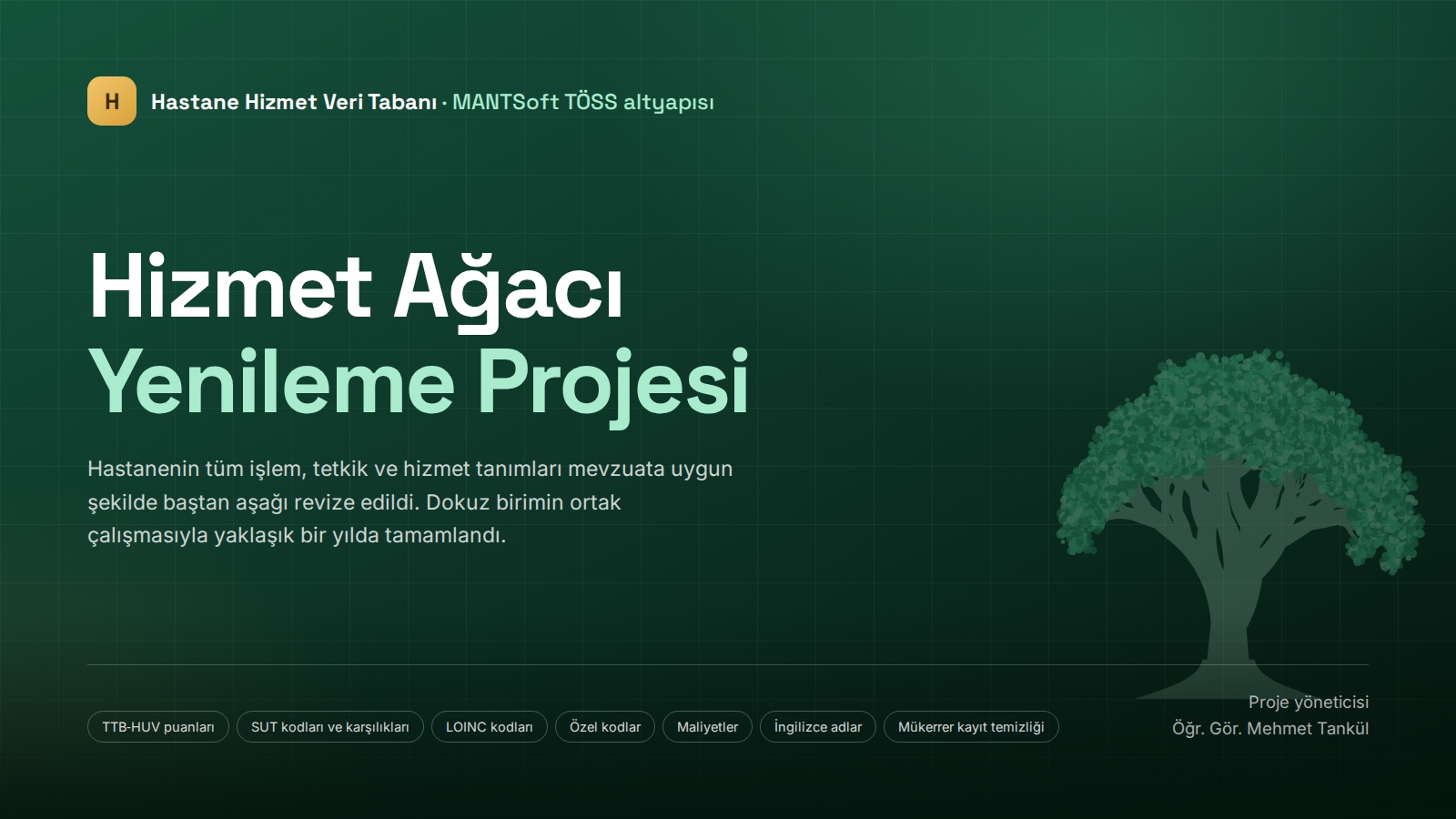 Hizmet Ağacı Yenileme Projesi