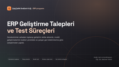 ERP Geliştirme Talepleri ve Test Süreçleri