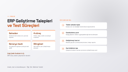 ERP Geliştirme Talepleri ve Test Süreçleri